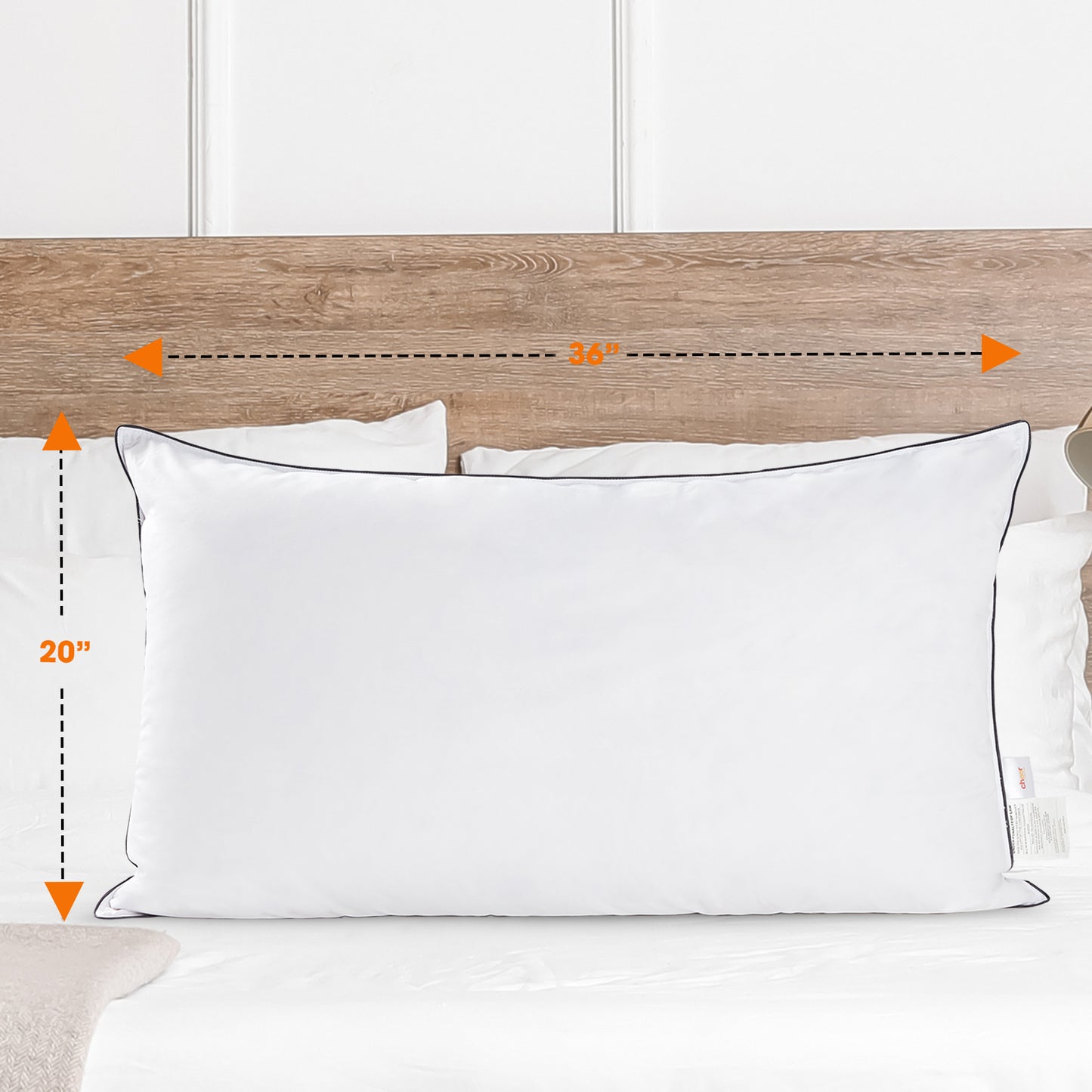 Cheer Collection Set of 2 Organic Kapok Bed Pillows and Sham Inserts - with plush Microfiber Shell