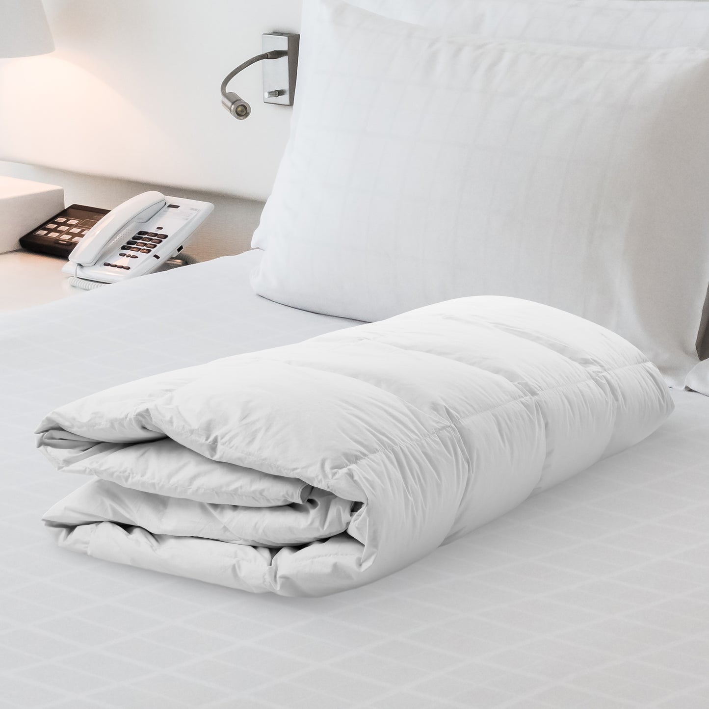 Cheer Collection All Season Down Alternative Comforter - Assorted Colors and Sizes