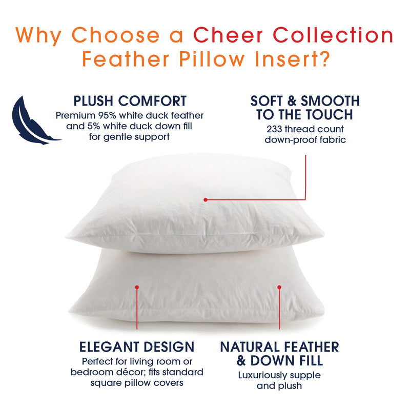 http://www.cheercollection.com/cdn/shop/products/cheer-collection-set-of-2-down-and-feather-throw-pillow-insert-square-couch-cushion-pillow-form-sham-stuffer-304524_800x.jpg?v=1678210365