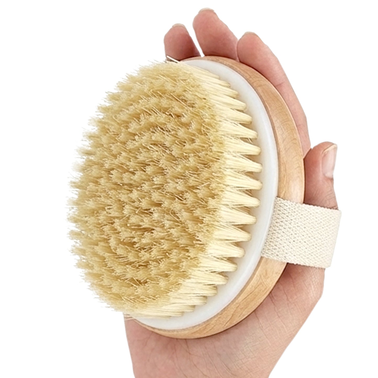 Cheer Collection Natural Bristle Exfoliating Body Brush Set for Daily Care with Comfort Grip