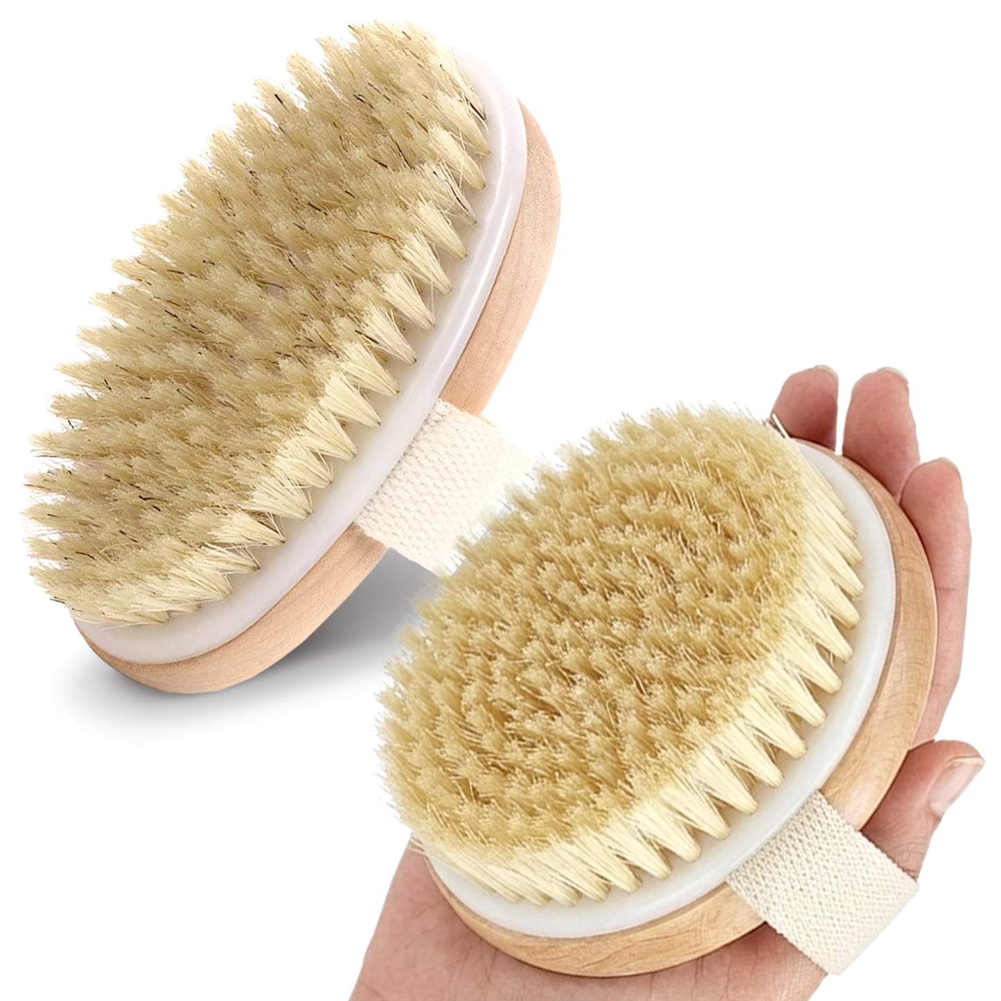 Cheer Collection Natural Bristle Exfoliating Body Brush Set for Daily Care with Comfort Grip