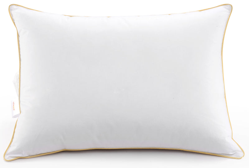 Cheer Collection Hypoallergenic Luxurious Gel Fiber Filled Pillow (Set of 2)