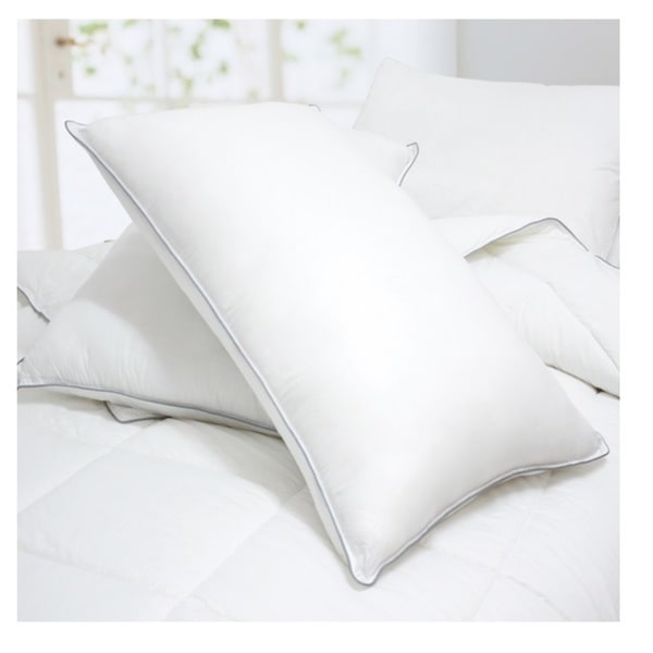 Cheer Collection Luxury Goose Down Alternative Pillows (Set of 2