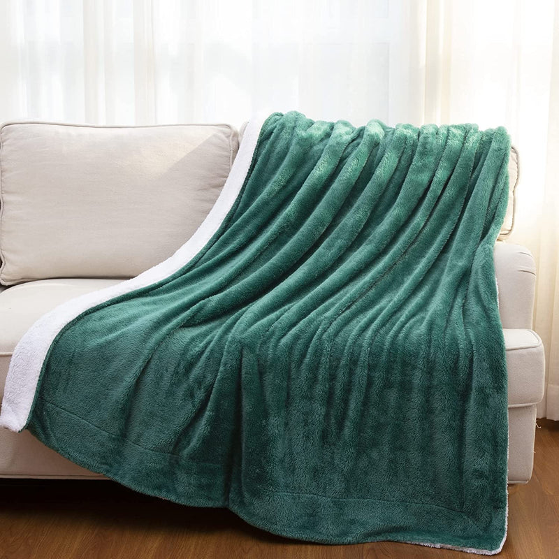 Cheer Collection Microsherpa Throw Blanket - Luxury Soft Velvet, Elegant Decorated, Stylish Accent Blanket - Cheer Collection