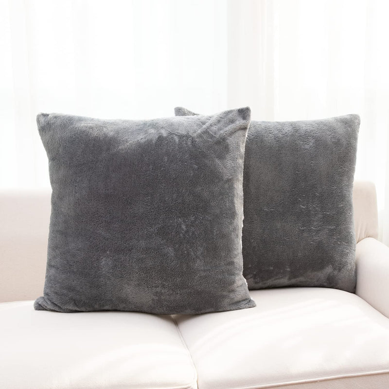 Cheer Collection Couch Pillow with White Pillowcase (Set of 2/28x28)