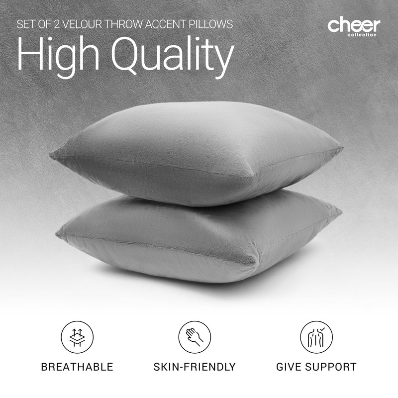 Cheer Collection Velour Throw Pillows - Set of 2 Decorative Couch Pillows - 22" x 22"